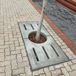 Tree and Sprayer Rings
